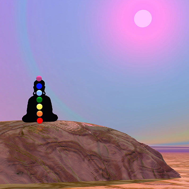 ShaktiSwarupa800x800 Meditation for Daily Living Mini Retreat #3