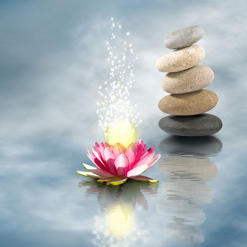 Meditation for Daily Living Mini Retreat 3 Part Series
